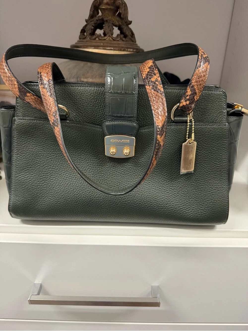 Coach Forest Green Pebbled Leather Satchel with Snake-Print Straps